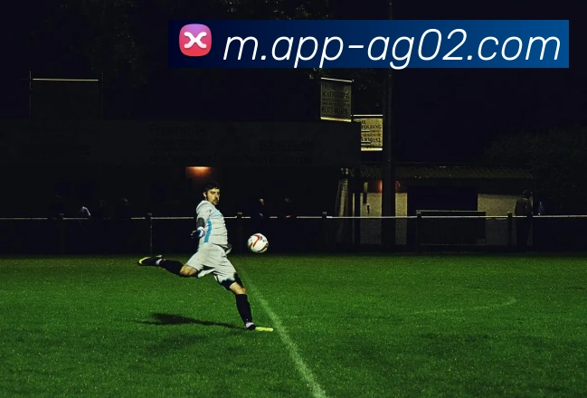 扫码下载 App