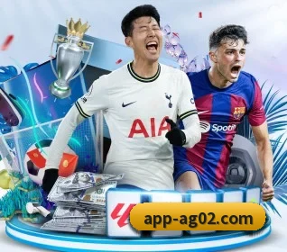 五大服务分区,信息按项目分类